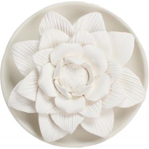 Trahoo-Pierre Parfum&eacute;e Pour Huiles Essentielles, Diffuseur D'ar&ocirc;mes Pour Huiles Essentielles Au Design &Eacute;l&eacute;gant, Diffuseur D'huile Essentielle Convient Pour La D&eacute;coration De La Maison Et Les Amateurs - Neuf