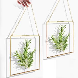 CMWX-Lot de 2 cadres photo en cuivre - 25 x 20 cm - À suspendre - En métal et verre - Ornement géométrique flottant - Plante - Échantillon - Clip pour carte - ?uvre d'art - Neuf