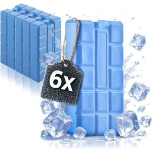6 X Big Ice Packs-Cool Packs For Cooler And Cooler Bag-Cold Packs For Home And Leisure - Neuf