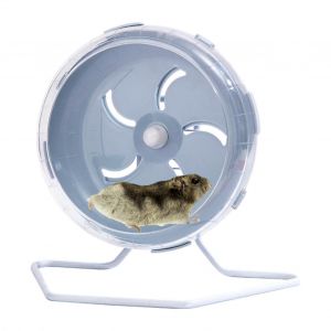 Calme Roue De Hamster, Le Silence De L'exercice De La Roue, Le Chinchilla, Le Hamster Jouets, Cage, Accessoires - Neuf