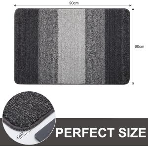 Tianyi-Paillasson D'intérieur Doux, Lavable En Machine, Super Absorbant, Antidérapant Pour L'intérieur, Porte D'entrée, Porte D'entrée, Animaux Domestiques Et Chiens (60 X 90 Cm, Gris) - Neuf