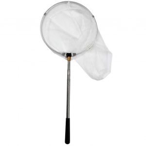Filet A Papillons Telescopique Pour L'exterieur, Filet De Peche Extensible Avec Manche En Acier Inoxydable - Neuf