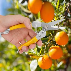 HJLIAN Ciseaux d'elagage multifonctions pour jardin, fleurs, arbres (processus de peinture) - Neuf