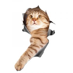 Pièce De 2 Toilettes Avec Chasse D'eau Autocollant De Pvc Matériel De Décoration Murale Le Chat Thème Vient De Sortir Du Trou Autocollant Mural Coloré Sticker Mural¿15*24 Cm¿ - Neuf