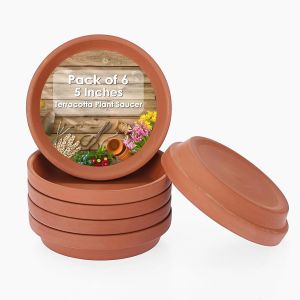 Nouvelhorizonstore-6pcs Soucoupe Pour Plantes En Terre Cuite Soucoupes Rondes Pour Plantes Et Les Pots De Fleurs De 3.5/4/5 Inch Avec Trou De Drainage (12,5cm) - Neuf