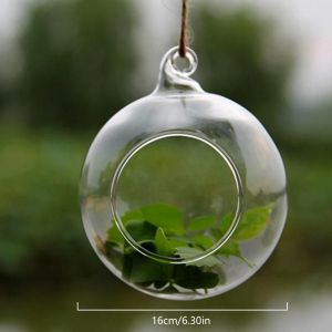 Mini Porte-Bougie Chauffe-Plat En Verre Transparent Pour La D&eacute;coration Int&eacute;rieure,Ouverture De Boule Creuse,Vase De Plante,1pc.16cm - Neuf