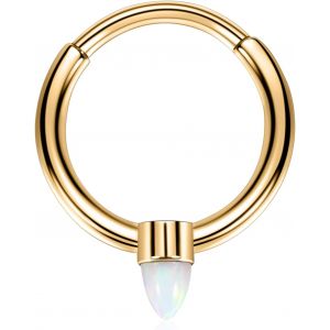 Kal-Boucles D'oreilles 16 G En Acier Inoxydable Pour Septum, Daith, Rook, Tragus, Hélix, Cartilage, Lobe Septum, Bijoux Serpent, Pyramide, Flèche, Étoile, Anneau Segmenté À Charnière - Neuf