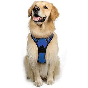 Harnais Chien L Arnet Anti Traction Bleu R&eacute;fl&eacute;chissant Gilet R&eacute;glable Pour Chien Grand Taille, Attache Devant Crochet De Laisse Pour Randonn&eacute;e Trajet Voiture, American Staff, Border Collie - Neuf