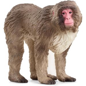 Sansh-Schleich 14871 Macaque Japonais, Dès 3 Ans, Wild Life - Figurine, 3 X 7 X 6 Cm - Neuf