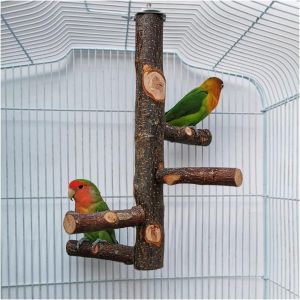 Chenquansarl-Perchoir Pour Cage De Perroquet Jouets Pour Perruche Perchoir En Bois Naturel Pour 3 Ou 4 Petits Ou Moyens, Cacatoès, Conure, Perruche, O Au D'amour, Pinson - Neuf