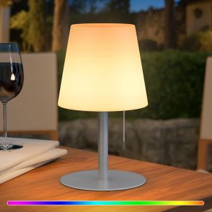 Lampe De Table Sans Fil,8 Couleurs Gradable Rgb Lampe De Chevet,Portative Rechargeable Étanche Veilleuse Led Pour Salon,Chambre Salon Terrasse (Argent) - Neuf