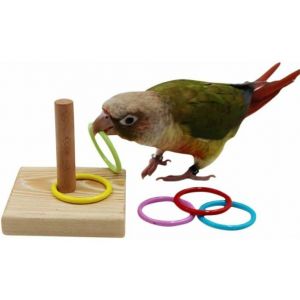 Jouets interactifs en bois pour perroquets pour oiseaux de petite et moyenne taille - Un jeu éducatif sûr, engageant et stimulant - Neuf