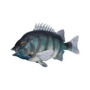 Modèle De Poisson Artificiel, Aquarium Pour Enfants, Créatures Marines, Pour L'éducation Précoce, Plastique, 4 X 9 X 16,2 Cm, 1 Pièce - Neuf