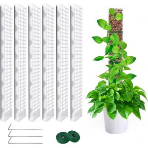 KALANKA-6 Pièces 60cm Tuteur Sphaigne,Tuteur Monstera, Moss Pole pour La Maison Monstera Jardin Plante Grimpantes Extension De Support De Plante - Neuf