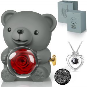 Rose Eternelle avec Collier I Love You, Nounours Ours en Rose Idee Cadeau pour Femme M&iquest;&iquest;re Maman Amie, Cadeau Fete des Meres, Cadeau Saint Valentin Femme Cadeau Noel Anniversaires - Neuf