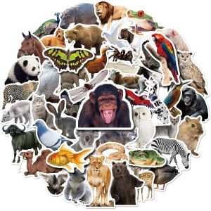 50 Stickers Animaux De La Forêt, Des Autocollants Avec Des Photos D'animaux Pour Les Enfants De 2 À 12 Ans, Résistant À L'eau - Neuf