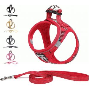 Harnais Chien Et Laisse - Respirant - R&eacute;fl&eacute;chissant - Step-In Harnais Pour Chiens, Gilet Rembourr&eacute; Confort Mesh Doux Pour Petite Chiens Chats Pour Marcher, Courir (Rose, M) - Neuf