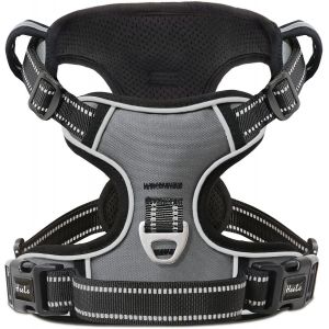 Eryi-Harnais Chien Réfléchissant, Anti Traction, Rembourré, 2 Anneaux Métal, Xs (25.5-38 Cm, 33-43 Cm), Gris - Neuf