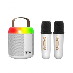 Basix Haut-Parleur Microphone Karaok&eacute; Microphone Int&eacute;gr&eacute; Maison Chant Karaok&eacute; Famille Sans Fil Bt Ext&eacute;rieur Portable Haut-Parleur.White-Y2Bouble. - Neuf