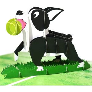 Carte pop-up pour chien, carte d'anniversaire, carte de félicitations, carte d'amitié, carte cadeau, carte surprise avec un chien (Boston Terrier) et une prairie verte 3D - Neuf