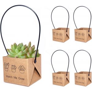 Eryi-50pcs Sac Cadeau Succulente 5,1 Cm, Petits Sacs Cadeaux Carrés En Papier Kraft Avec Poignée En Corde, Emballage Succulent Pour Mariage, Anniversaire, Fête, Baby Shower - Neuf