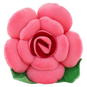 Coussin cr&eacute;atif en peluche rose, coussin, cadeau de vacances pour enfants-Past&egrave;que rouge 40cm - Neuf