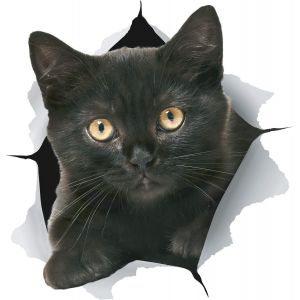 Lot de 5 autocollants 3D motif chat noir pour chambre, réfrigérateur, toilettes, voiture, emballage de vente au détail - Neuf