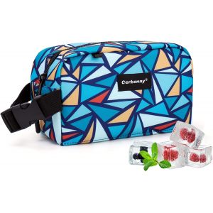 TZF-Sac à déjeuner congelable, mini sac isotherme pour voyage/travail/école, petit sac isotherme, petite boîte à déjeuner isotherme avec blocs de glace, boîte à goûter congelable avec boucle de poign - Neuf