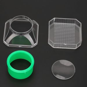 Loupe portable pour enfants, jouet d'observation des insectes avec loupe - Neuf