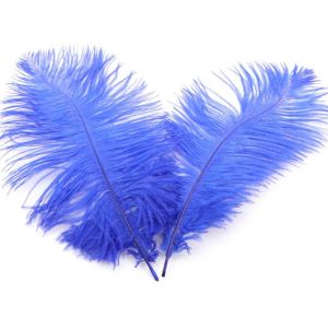 Lot De 10 Plumes D'autruche Naturelles De 20 &Agrave; 25 Cm Plumes D'autruche Pour Bricolage,Accessoires De Bricolage,D&eacute;coration De Maison,Costumes,D&eacute;coration De Table,Mariage,F&ecirc;te,Chapeau,V&ecirc;tements Bleu - Neuf