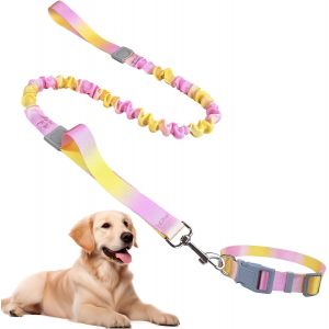 Jgd-Laisse Pour Chien,Ensemble Collier Et Laisses Pour Chiens,Laisses &Eacute;lastique,Laisse Corde Absorption Des Chocs, Collier Pour Chien Reglable,R&eacute;glable En Nylon Pour Marche Entra&icirc;nement - Neuf
