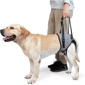 Harnais De Levage Pour Chien, Harnais De Soutien Pour Pattes Arriere, Sangle De Soutien Souple Pour Chiens Blesses Et Handicapes - Neuf
