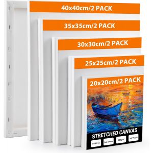 JEXNOVASHOP-Toile Peinture - Lot de 10 (40x40 35x35 30x30 25x25 20x20cm) Toile a Peindre Encadr&eacute;es, Coton, Sans Acide, Tableau Peinture Toiles Canvas Adapt&eacute;es pour Peintures Acryliques, Huile, Gouach - Neuf