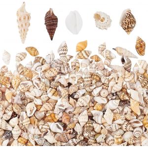 Mevronisshop-1300-1500pcs Mini Coquillage Resine Epoxy Petit Coquillage Pour Creation Pets Coquillages En Spirale Pour Petites Bouteilles, Sac De F&ecirc;te, Mariage Decoration, Pas Perfor&eacute; 7 12mm - Neuf