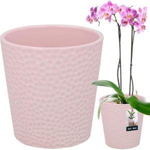 Pot De Fleur Rond En C&eacute;ramique Rose &iquest; 12 Cm|Cache Pot C&eacute;ramique|Pot C&eacute;ramique Plante|Pot De Fleur C&eacute;ramique|Pot De Fleur En C&eacute;ramique|Pot De Fleur C&eacute;ramique|Pot Pour Orchid&eacute;es.[N63] - Neuf