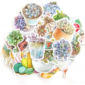 Lot D'autocollants Aquarelle Terrarium Et Plantes Succulentes - Stickers Pour Le Scrapbooking - Petits Stickers Étanches Pour Ordinateurs Portables, Skateboards Et Téléphone (25 Unités) - Neuf