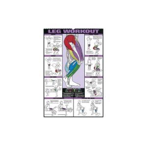 Affiche D'exercices Pour Un Entra&icirc;nement Complet Du Corps En Salle De Sport - Abdominaux, Biceps, Pectoraux, Dos, Triceps, Jambes - Neuf