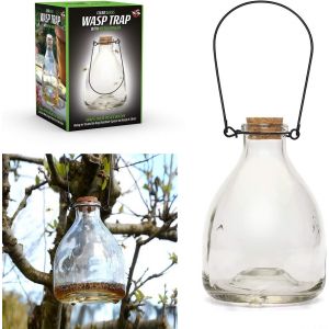 ASFASFq-CKB-WC01 Grand piège à guêpes en verre avec crochet en métal pour intérieur ou extérieur - Neuf