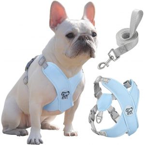 Harnais Pour Chiens Avec Laisse, Harnais Sécurisé Anti-Traction En Forme De X, Veste Pour Chiens De Petite & Moyenne Taille, Ceinture De Sécurité D'animaux Réglable, S, Marguerite Rose - Neuf
