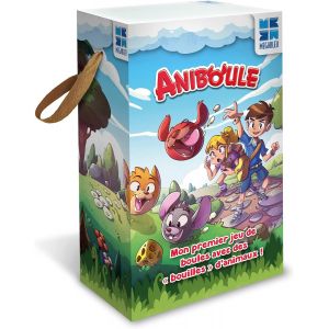 Chenquansarl-Ani'boule - Jeu De P&eacute;tanque - 678139 - Neuf