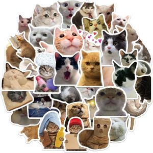 Lot De 50 Autocollants Amusants En Vinyle Motif Chat Pour Enfants, Adolescentes, Filles, Ordinateur Portable, Bouteille D'eau, Étui De Voyage, Téléphone, Scrapbooking, Guitare, Fête D'anniversaire - Neuf