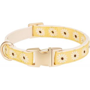 Collier Pour Chien Ultra Doux En Velours C&ocirc;tel&eacute; Naturel Fabriqu&eacute; Pour Les Petits Chiens &Agrave; Peau Sensible, Vert Sauge - Neuf