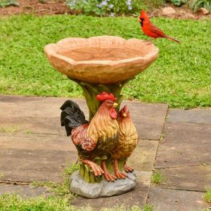 Bain d'oiseaux en plein air, fontaine en résine, coq, mangeoire à oiseaux, décoration de jardin - Neuf