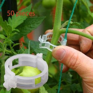 Lot de 50 Clips de Fixation pour Plantes de Jardin, pour Attacher Plantes Ficelle Vigne Treillis Cages Vigne l&eacute;gumes Outils greffage pour Faire Pousser Plantes Droites Plus saines - Neuf