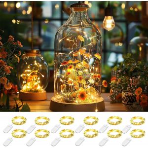 TRAHOO-Guirlande lumineuse LED &agrave; piles, 12 x 20 micro LED, fil de cuivre, fonctionne sur piles, 2 m, petites guirlandes lumineuses, &eacute;tanche, pour f&ecirc;te, mariage, No&euml;l, &eacute;clairage d&eacute;coratif (blanc chaud - Neuf