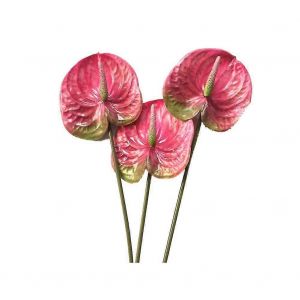 3 Pcs 22.8inch Fleurs d'anthurium artificiel pour le bouquet de décoration intérieure et la feuille verte et la décoration de mariage de mariée (rose) - Neuf