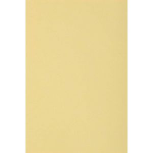 50x Carton Crème 250g Papier Décoratif A5 148,5x210mm Burano Camoscio Idéal Pour Cartes De Voeux Scrapbooking Bricolage Invitations Art Et Artisanat Anniversaire Diy Loisirs Créatifs - Neuf