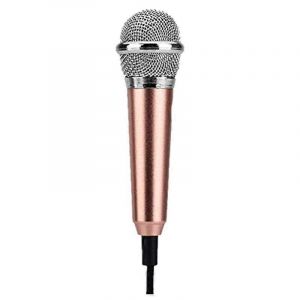 Mini microphone avec micro stéréo omnidirectionnel pour l'enregistrement vocal,le chat et le chant au téléphone,un - Neuf