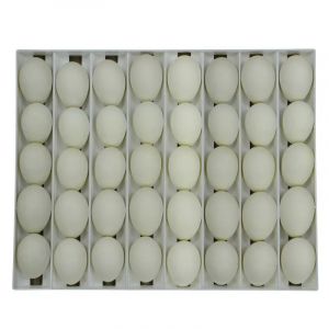 Panier D'incubation Pour 40 Oeufs D'oie Tr40 - Neuf