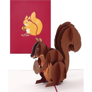 Trahoo-Carte D'anniversaire Pop-Up « Écureuil » - Carte D'anniversaire 3d Amusante - Carte D'invitation Et De Noël Avec Enveloppe Comme Bon D'achat, Petit Cadeau, Idée Cadeau Et Décoration - Neuf